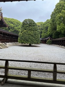 2505022