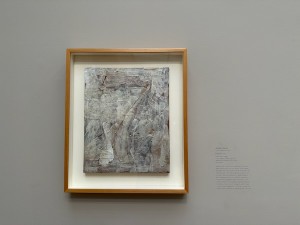 25051610