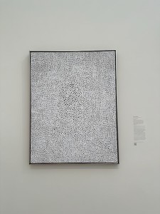 25051613