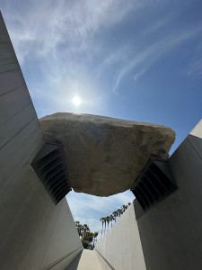 25051619