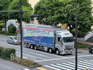 2505291