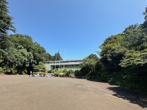 2506041