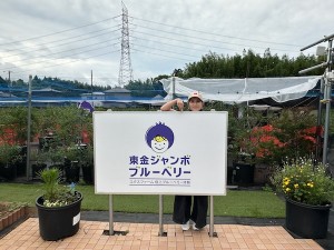 2506241