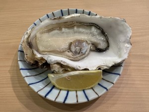25063011