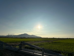 25071119