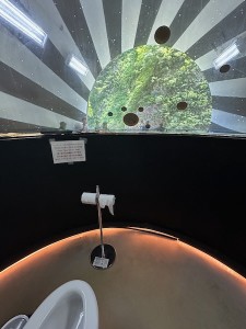 25071212