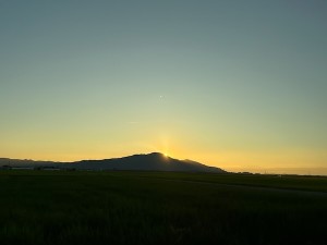 25071235