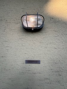 25071324
