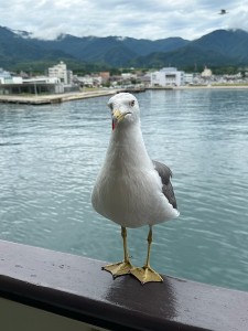 25071514