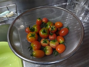 2507183