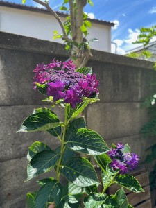 2507193
