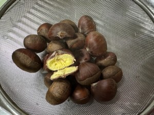 25091310