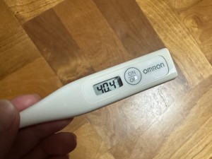 2509282