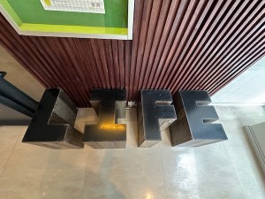 25102133