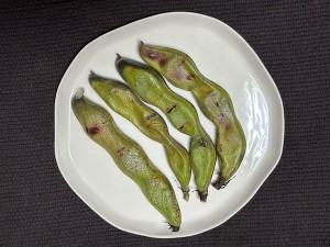 2605073