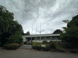 2606041