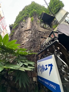 2607033