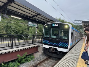 26091324