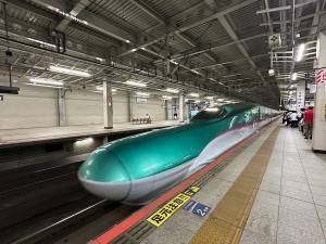 26091420