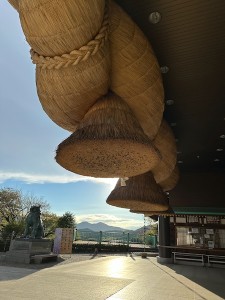 26100618