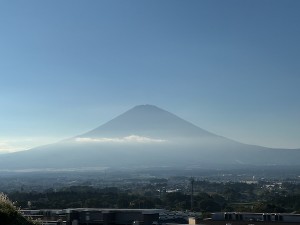 26101014