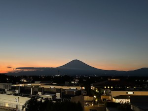26101015