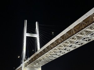 2610173